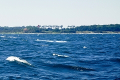 IMG_20200625_144845